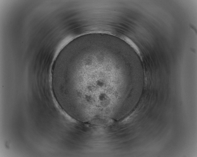 X0000091361096200708241305