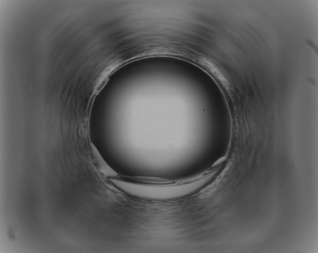 X0000091361097200708241305
