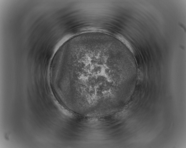X0000091361098200708241305