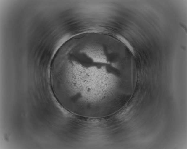 X0000091361099200708241305