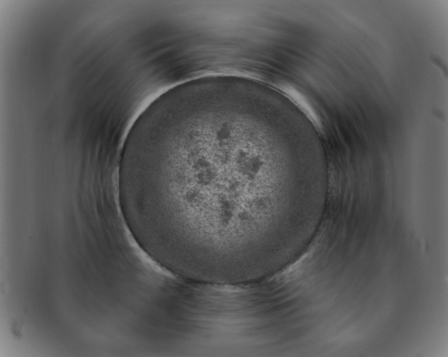 X0000091361100200708241305