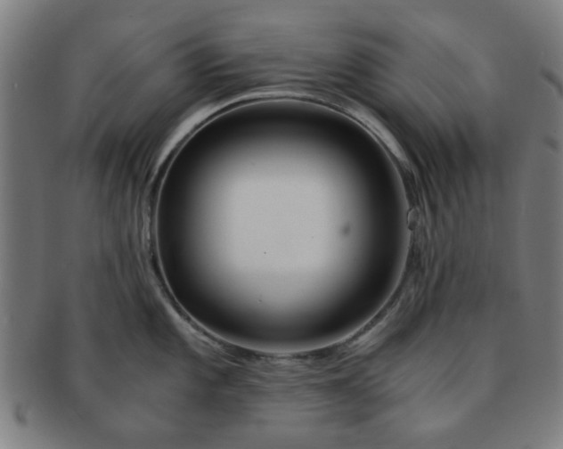 X0000091361101200708241305