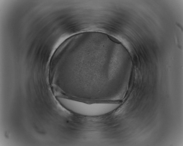 X0000091361102200708241305