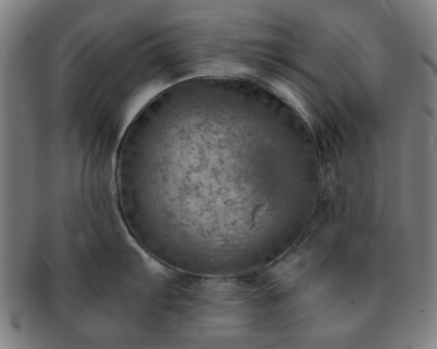X0000091361103200708241305