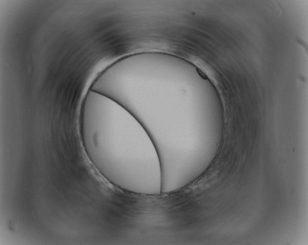 X0000091361104200708241305