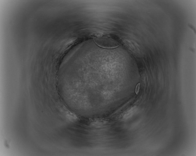X0000091361105200708241304