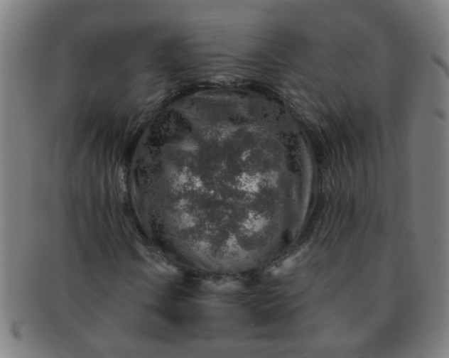 X0000091361106200708241304