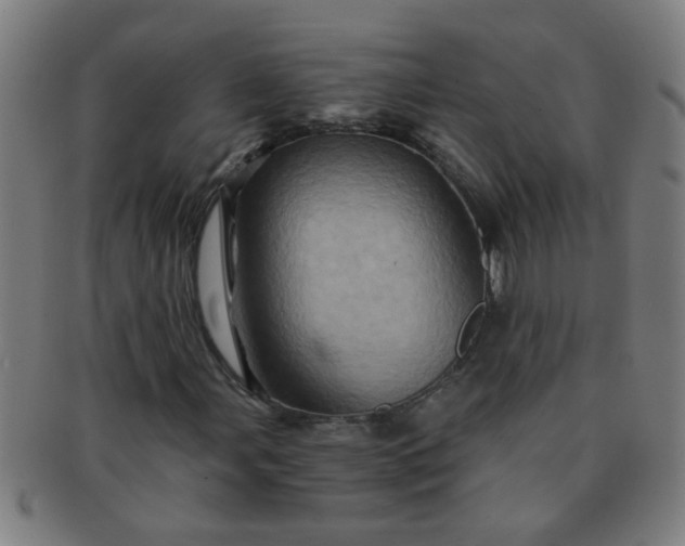 X0000091361107200708241304