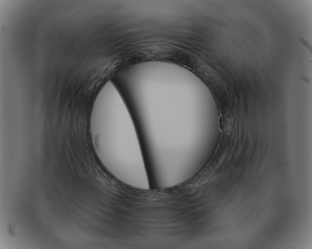 X0000091361108200708241304