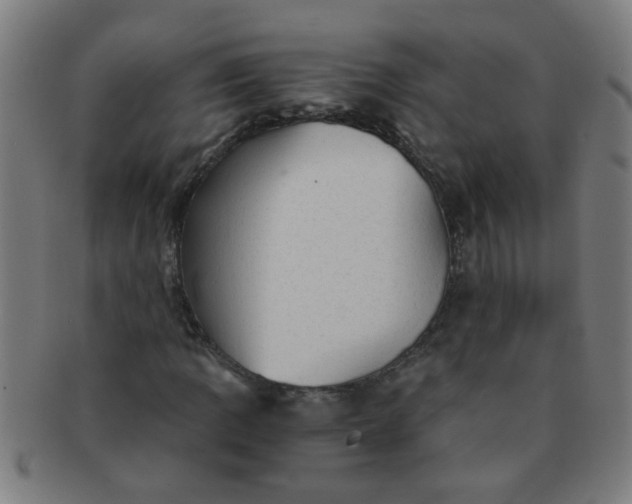 X0000091361109200708241304