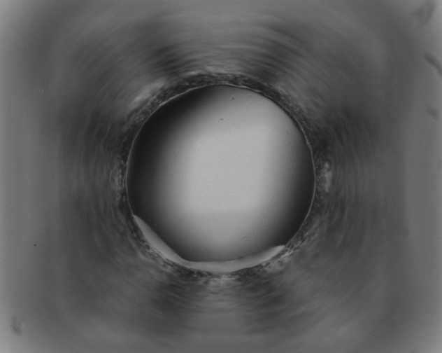 X0000091361110200708241304