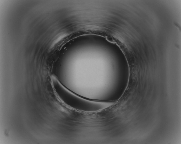 X0000091361112200708241304