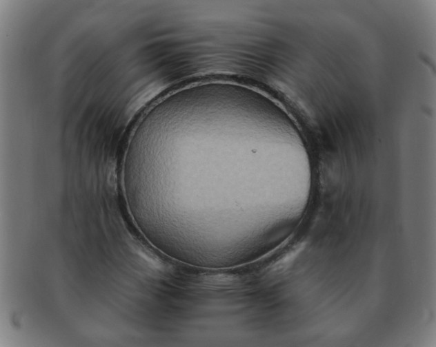 X0000091361113200708241304