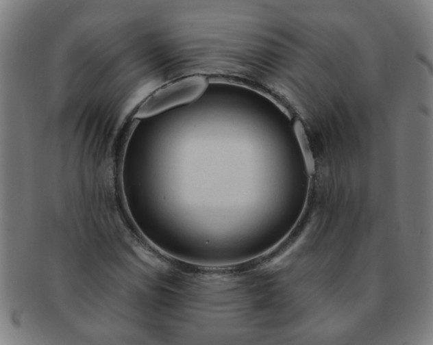 X0000091361114200708241304