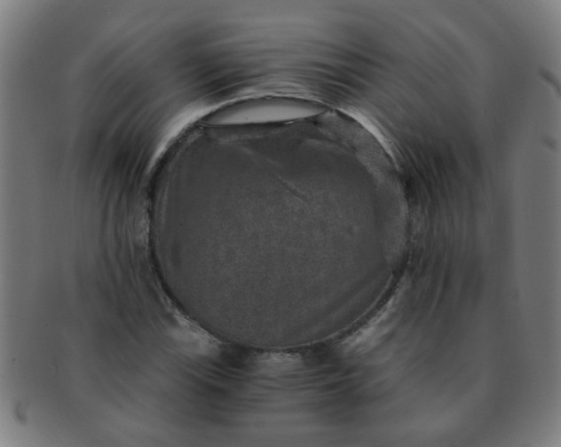 X0000091361115200708241304