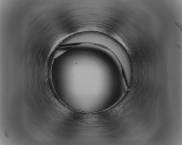 X0000091361116200708241304
