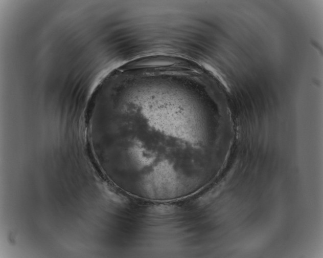 X0000091361117200708241304