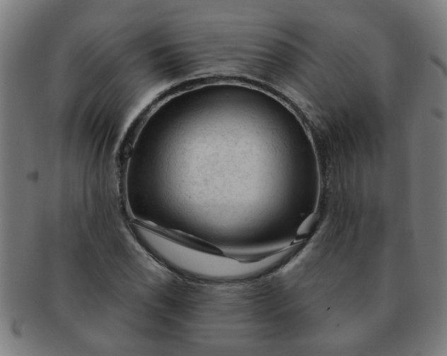 X0000091361118200708241304