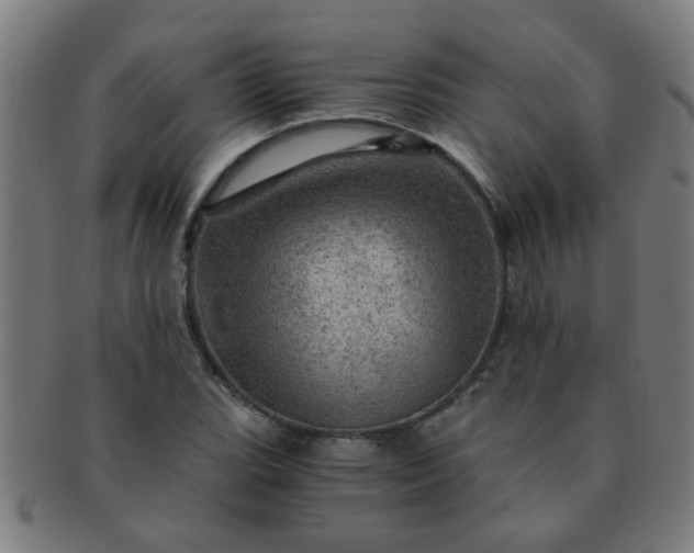 X0000091361119200708241304