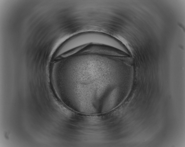X0000091361120200708241304