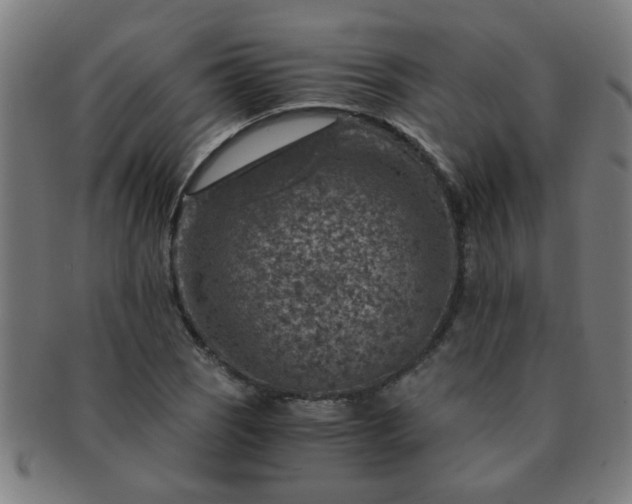 X0000091361121200708241304