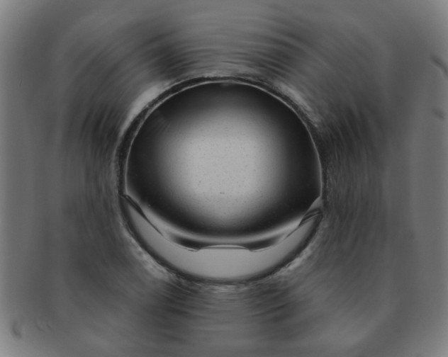 X0000091361122200708241304
