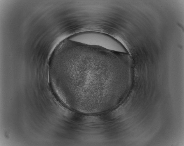 X0000091361123200708241304