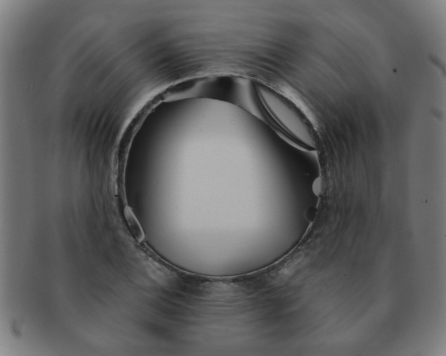 X0000091361124200708241304