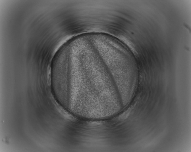 X0000091361126200708241304