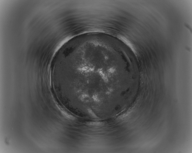 X0000091361127200708241304