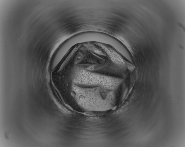 X0000091361128200708241304