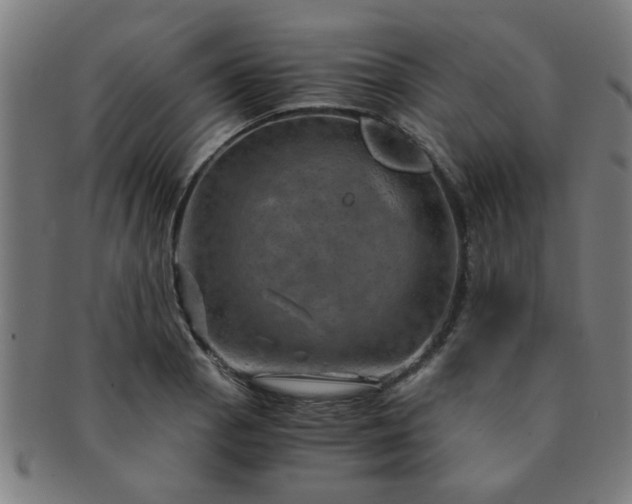 X0000091361129200708241304