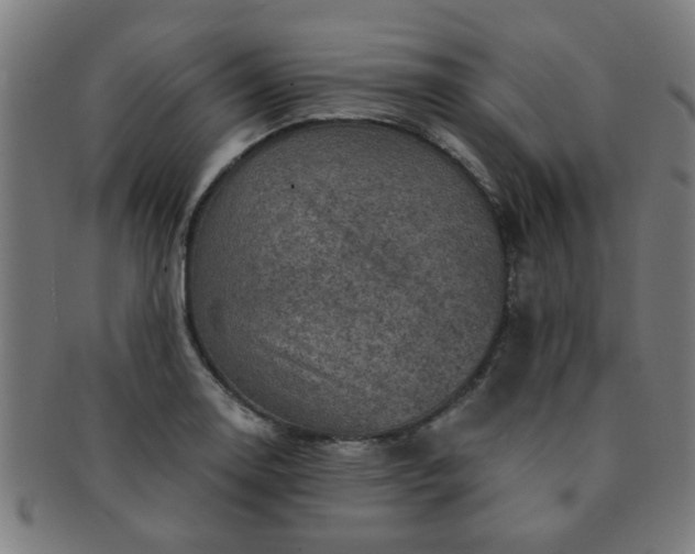 X0000091361130200708241304