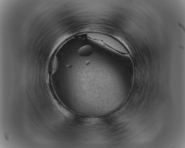 X0000091361131200708241304
