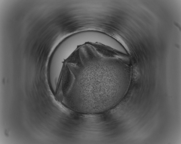 X0000091361132200708241304
