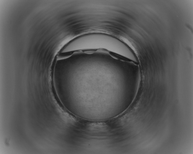 X0000091361133200708241304