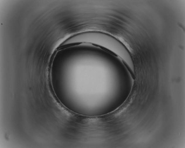 X0000091361134200708241304