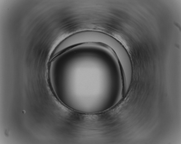 X0000091361136200708241304