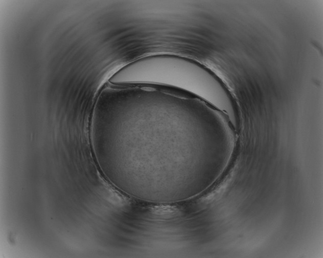 X0000091361137200708241304