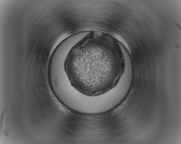 X0000091361138200708241304