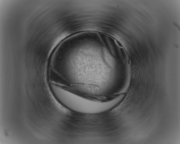 X0000091361139200708241304