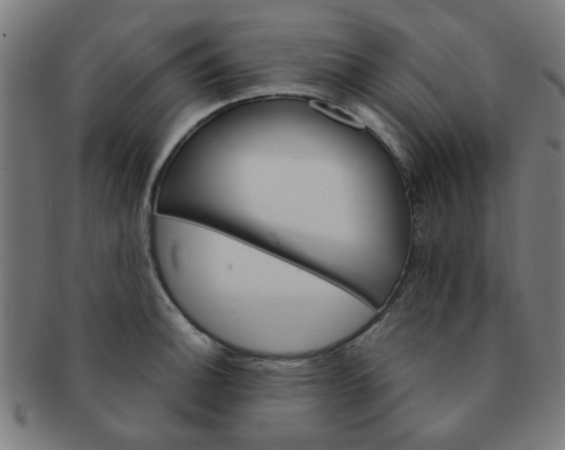 X0000091361140200708241304
