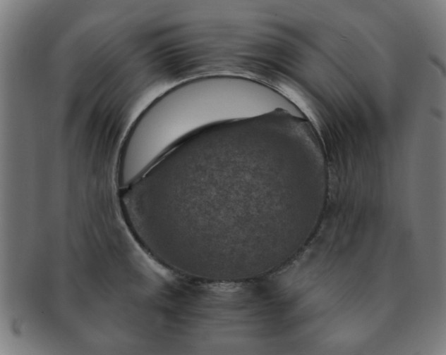 X0000091361141200708241304