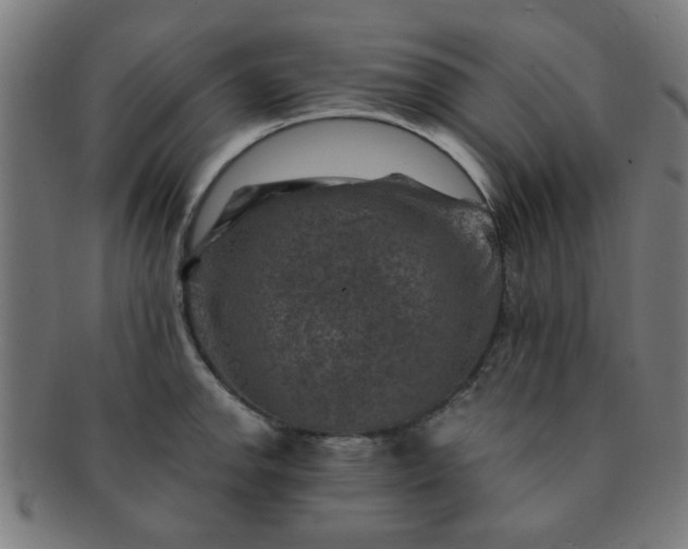 X0000091361142200708241304