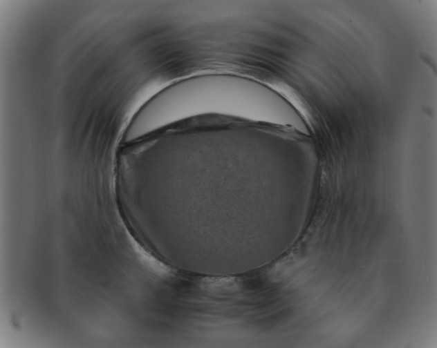 X0000091361143200708241304