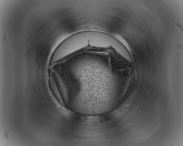 X0000091361144200708241304