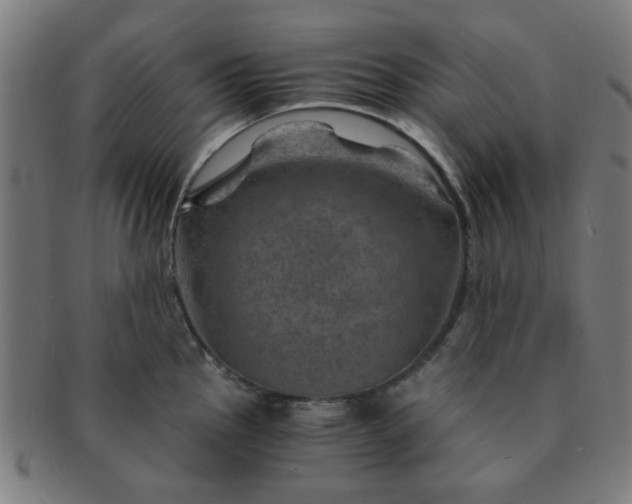 X0000091361145200708241304