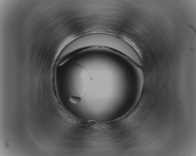 X0000091361146200708241304