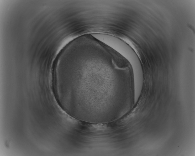 X0000091361147200708241304
