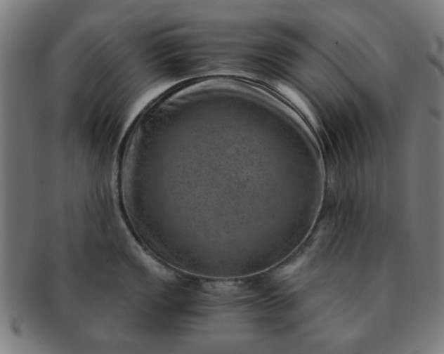 X0000091361149200708241304